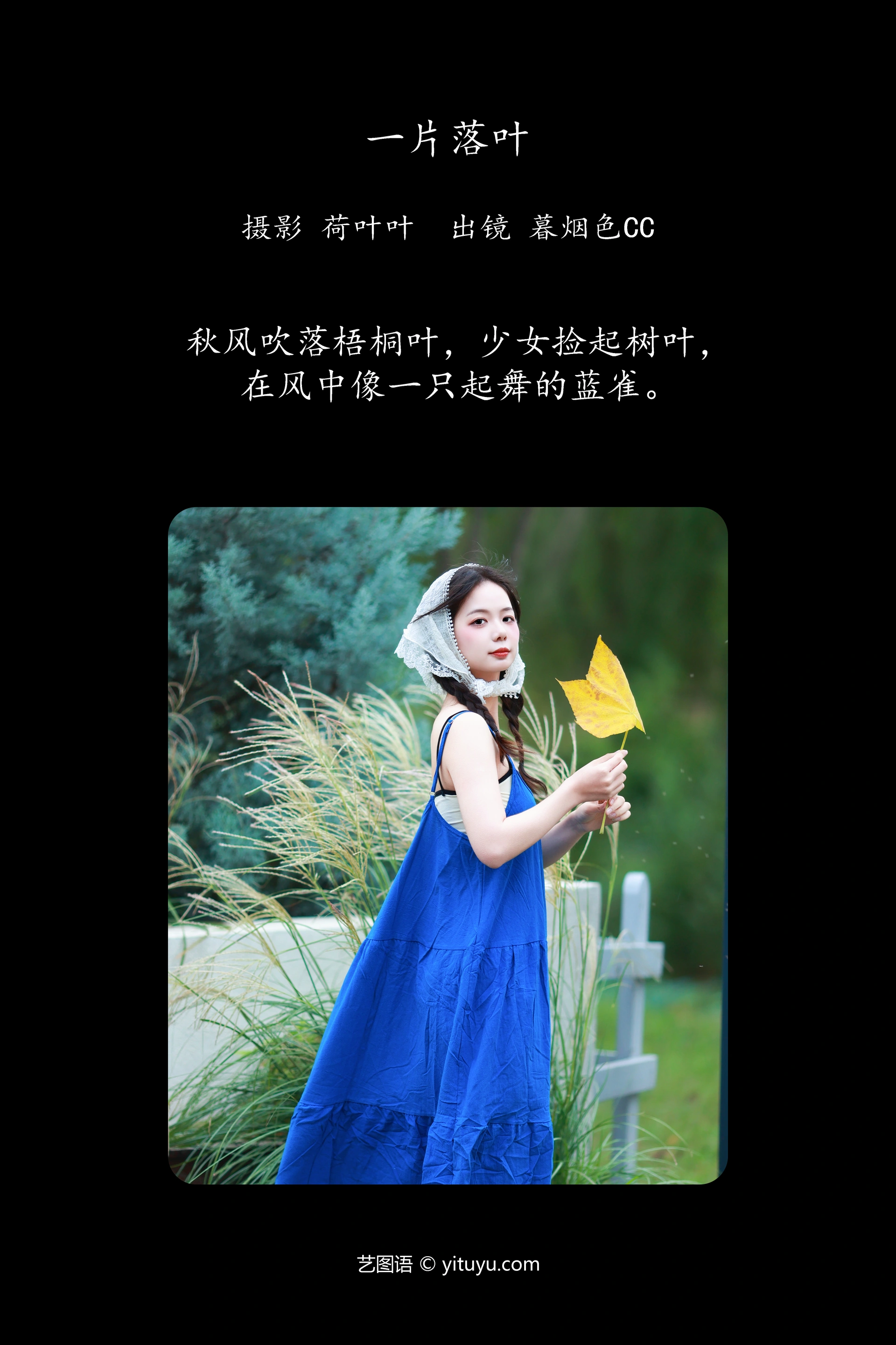 [YITUYU艺图语]2023.11.15 一片落叶 暮烟色CC 0
